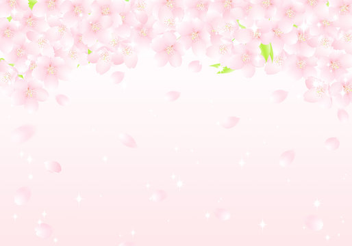 サクラの花のアーチ　桜吹雪　イラスト