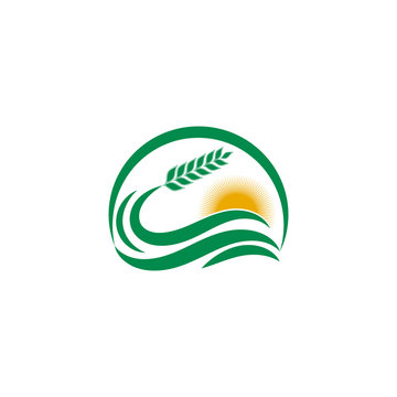 Simple wheat logo design illustration for bakery