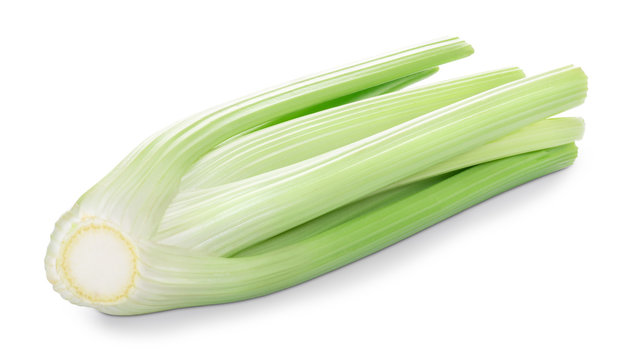fresh green celery