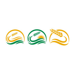 Simple wheat logo design illustration for bakery