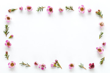 Fototapeta na wymiar Flower frame with pink flowers