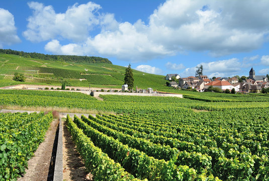der bekannte Weinort Oger nahe Epernay in der Champagne region,Frankreich