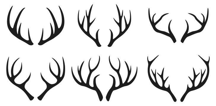 deer antler drawings