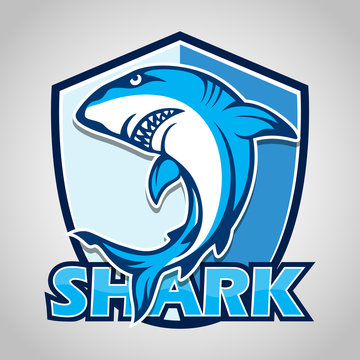 Cartoon shark with blue shield on gray background