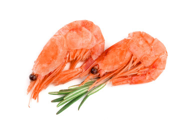Red cooked prawn or shrimp with rosemary isolated on white background