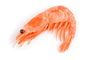 Red cooked prawn or shrimp isolated on white background
