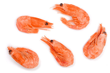 Red cooked prawn or shrimp isolated on white background. Top view. Flat lay