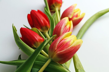 Bouquet of festive spring tulips on a white background