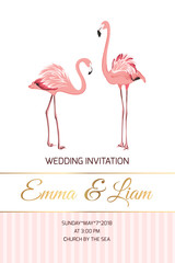Exotic pink flamingo wading birds couple isolated on white background. Wedding marriage event party invitation card poster template. Save the date RSVP. Text placeholder.