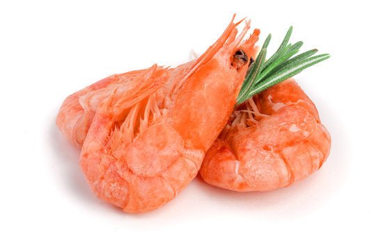 Red Cooked Prawn Or Shrimp With Rosemary Isolated On White Background