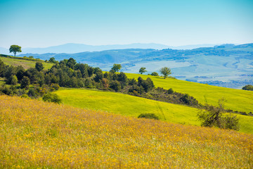 Fototapeta premium Beautiful landscape, spring nature, sunny fields on hills in Tuscany, Italy