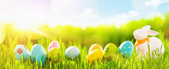 Easter Eggs With Fresh Green Grass and Sun
