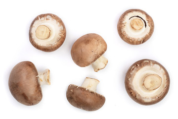Fresh champignon mushrooms isolated on white background. Top view. Flat lay