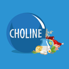 Fototapeta premium Choline
