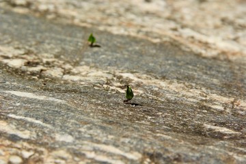 Tiny hard worker - Work in progress