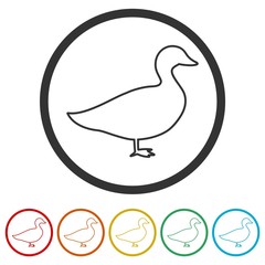The silhouette of a goose or duck icon, 6 Colors Included