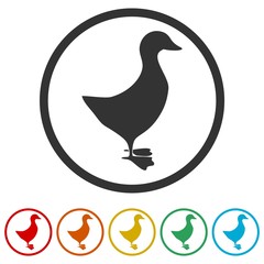 The silhouette of a goose or duck icon, 6 Colors Included