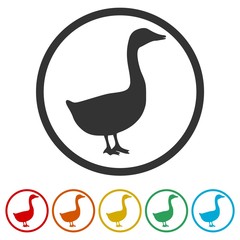 The silhouette of a goose or duck icon, 6 Colors Included