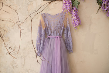 Beautiful lilac or violet fluffy dress is hanging on the wall with climbing blooming Wisteria.