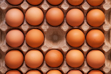 Fresh unbroken brown chicken eggs lie in a special cardboard tray