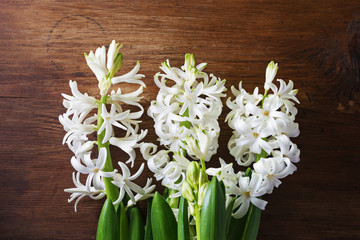 White hyacinths. Spring flowers on wooden background.