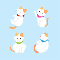 Cartoon cute actions orange and white cat vector. Blue background.