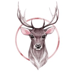 Noble deer. Isolated on white. Watercolor illustration