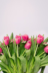 a big bouquet of pink tulips on a white homogeneous background
