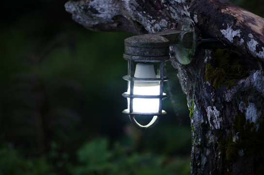Garden lamp shines beautifully at night