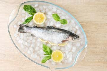 River trout. Fresh fish on ice slices. Next to the leaves are fresh basil and half a lemon. Light wooden background. View from above. Close-up.
