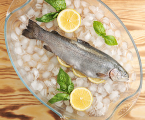 Fresh brook trout on chunks of crushed ice in a glass bowl. In the belly of trout, there are slices of lemon and rosemary. Next lemon and fresh basil.  View from above. Light wooden background.