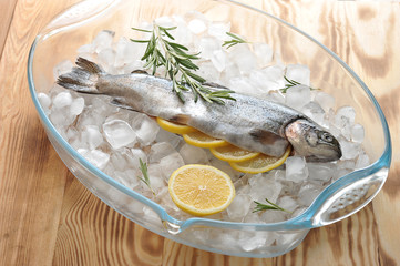 Fresh trout on chunks of crushed ice in a glass bowl. In the belly of trout, there are slices of lemon and rosemary. Next to half a lemon and a sprig of rosemary. Light wooden background.