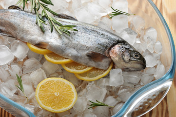 Fresh trout on chunks of crushed ice. In the belly of trout, there are slices of lemon and rosemary. Next to half a lemon and a sprig of rosemary. View from above. Close-up.