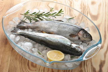 Two fresh river trout on slices of crushed ice. Next to the fish is a slice of lemon and a sprig of rosemary. Light wooden background.