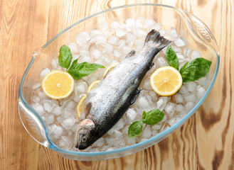 Fresh brook trout on chunks of crushed ice in a glass bowl. In the belly of trout, there are slices of lemon and rosemary. Next lemon and fresh basil.  View from above. Light wooden background.