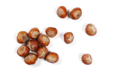 Hazelnuts isolated on white background, top view