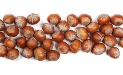 Hazelnuts isolated on white background, top view