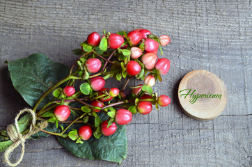 Hypericum (Hypericum androsaemum, Tutsan)branches with red berries for floral arrangements on a rustic wooden table.
Selective focus.