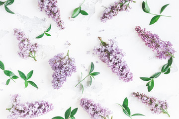 Flowers composition. Lilac flowers, green leaves on white background. Flat lay, top view