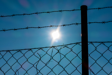barbed wire and sunshine