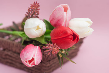 Spring flower bouquet. Pink, White and Red Tulip flower Bouquet. Pink Background. Greeting.
