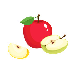 Bright vector illustration of colorful juicy apple.