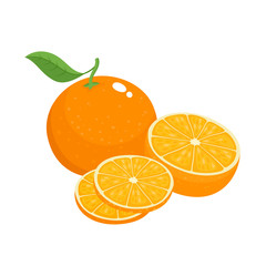 Bright vector set of colorful juicy orange.