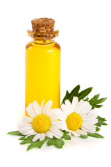 bottle with essential oil and fresh chamomile flowers isolated on white background
