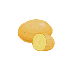 Potato whole and slices isolated on white background. Vector illustration. ingredients for cooking.