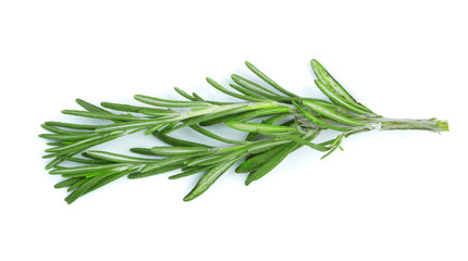 Fototapeta premium Fresh green rosemary isolated on a white background. Top view