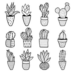 Set of different kinds of cactuses in flower pots. Sketchy vector pattern.