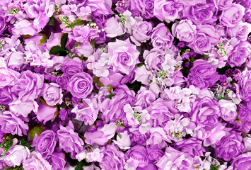 Purple rose flowers bouquet background for Valentine's Day decoration, top view.