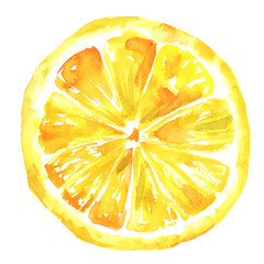 Watercolour lemon drawing, isolated on white