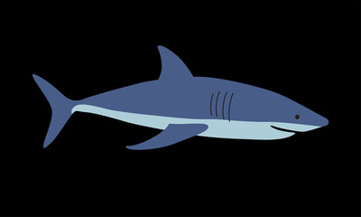 Shark vector illustration